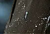 Harkila Kodiak CleverWool HSP Insulated Jacket
