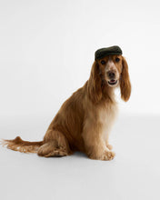 Barbour Wilkin Dog Flat Cap