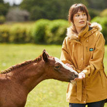 Ridgeline Ladies Monsoon Nordic Jacket