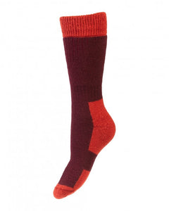 Gallyons Lady Glen Short Socks