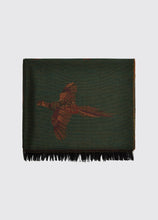 Dubarry Birchdale Scarf