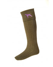 Gallyons Buckminster with Dog Long Sock
